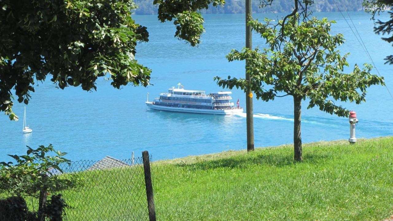 Bahnhoefli Faulensee Bagian luar foto